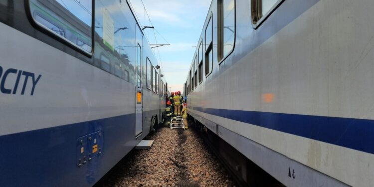 Krzcięcice. Ewakuacja pasażerów pociągu / Fot. PSP Jędrzejów
