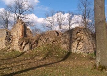 Fałków. Ruiny zamku (2018 rok) / Fot. archiwum Konrada Muchy