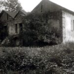 Fałków. Ruiny zamku (przed I wojną światową) / Fot. archiwum Konrada Muchy