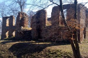 Fałków. Ruiny zamku (2018 rok) / Fot. archiwum Konrada Muchy