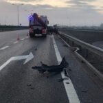 11.01.2023. Skarżysko-Kamienna. Trasa S7. Wypadek / Fot. PSP Skarżysko-Kamienna