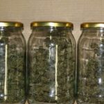 Fot. Policja Świętokrzyska