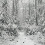 Góry Świętokrzyskie, las, zima / Fot. Sebastian Kalwat - Radio Kielce