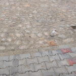 03.01.2022. Bodzentyn. Zniszczenia na małej targowicy. / Fot. Miasto i Gmina Bodzentyn - Facebook