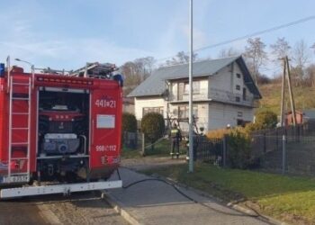 07.01.2023. Czekarzewice Drugie. Pożar / Fot. KP PSP Opatów