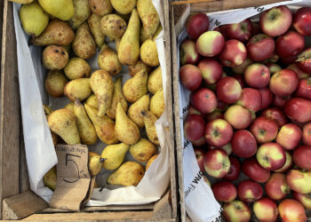 11.01.2023. Końskie. Targowisko w Końskich. Warzywa i owoce / Fot. Magdalena Galas-Klusek - Radio Kielce