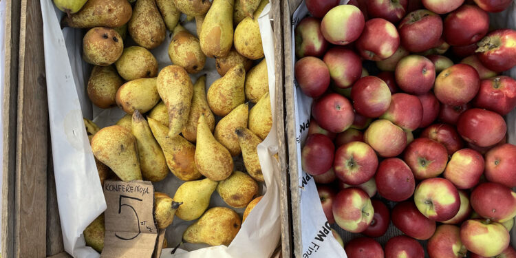 11.01.2023. Końskie. Targowisko w Końskich. Warzywa i owoce / Fot. Magdalena Galas-Klusek - Radio Kielce