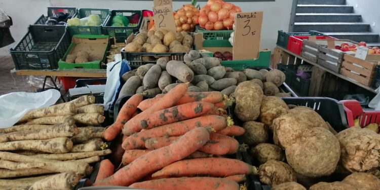 Fot. Marta Gajda-Kruk - Radio Kielce