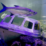 28.01.2023. Chrusty. Oceanika - zespół wielkoformatowych akwariów / Fot. Robert Felczak – Radio Kielce