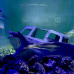 28.01.2023. Chrusty. Oceanika - zespół wielkoformatowych akwariów / Fot. Robert Felczak – Radio Kielce