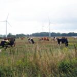 Fot. Robert Felczak - Radio Kielce