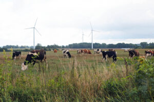 Fot. Robert Felczak - Radio Kielce