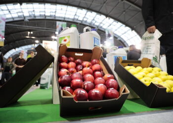 18.01.2023. Kielce. Targi Kielce. Targi Sadownictwa i Warzywnictwa / Fot. Wiktor Taszłow - Radio Kielce