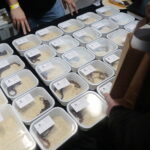 22.01.2023. Kielce. Targi Kielce. Targi terrarystyczne Exotic Fest / Fot. Wiktor Taszłow - Radio Kielce