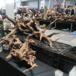 22.01.2023. Kielce. Targi Kielce. Targi terrarystyczne Exotic Fest / Fot. Wiktor Taszłow - Radio Kielce