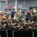 22.01.2023. Kielce. Targi Kielce. Targi terrarystyczne Exotic Fest / Fot. Wiktor Taszłow - Radio Kielce