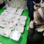 22.01.2023. Kielce. Targi Kielce. Targi terrarystyczne Exotic Fest / Fot. Wiktor Taszłow - Radio Kielce