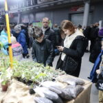 22.01.2023. Kielce. Targi Kielce. Targi terrarystyczne Exotic Fest / Fot. Wiktor Taszłow - Radio Kielce