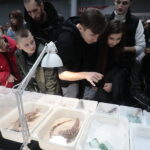 22.01.2023. Kielce. Targi Kielce. Targi terrarystyczne Exotic Fest / Fot. Wiktor Taszłow - Radio Kielce