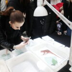 22.01.2023. Kielce. Targi Kielce. Targi terrarystyczne Exotic Fest / Fot. Wiktor Taszłow - Radio Kielce