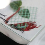 22.01.2023. Kielce. Targi Kielce. Targi terrarystyczne Exotic Fest / Fot. Wiktor Taszłow - Radio Kielce