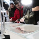 22.01.2023. Kielce. Targi Kielce. Targi terrarystyczne Exotic Fest / Fot. Wiktor Taszłow - Radio Kielce