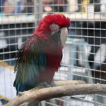 22.01.2023. Kielce. Targi Kielce. Targi terrarystyczne Exotic Fest / Fot. Wiktor Taszłow - Radio Kielce