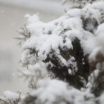 30.01.2023. Kielce. Zima / Fot. Wiktor Taszłow - Radio Kielce