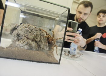 13.01.2023 Kielce. UJK. Noc biologów / Fot. Jarosław Kubalski - Radio Kielce