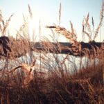 Synoptycy zanotowali rekordowe temperatury. Co będzie dalej? [PROGNOZA POGODY]