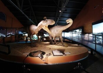 Starachowice. Wystawa paleontologiczna / Fot. MPiT