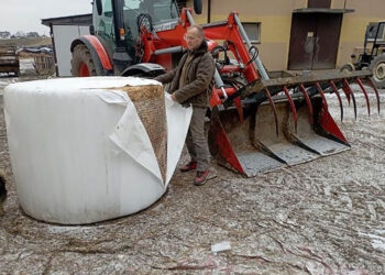 Obice. Gospodarstwo Romana Popisa / Fot. Roman Popis