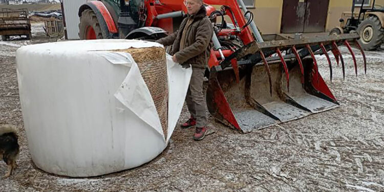 Obice. Gospodarstwo Romana Popisa / Fot. Roman Popis