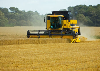 Kurs kombajnistów w 2023 roku w powiecie staszowskim - Radio Kielce