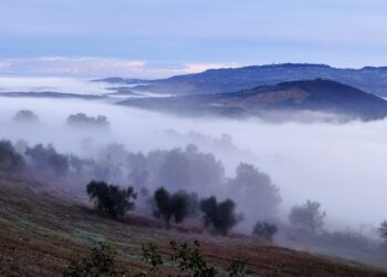 Toskania / Fot. Danuta Rasała