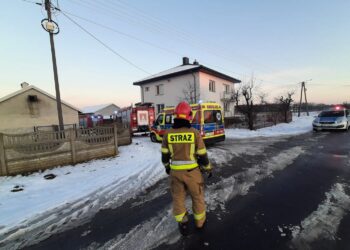 Fot. Straż pożarna