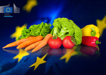 Ankieta dotycząca nieuczciwych praktyk handlowych - Radio Kielce