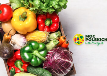 Sukces kampanii „Moc Polskich Warzyw” w 2022 roku - Radio Kielce Sukces kampanii „Moc Polskich Warzyw” w 2022 roku - Radio Kielce