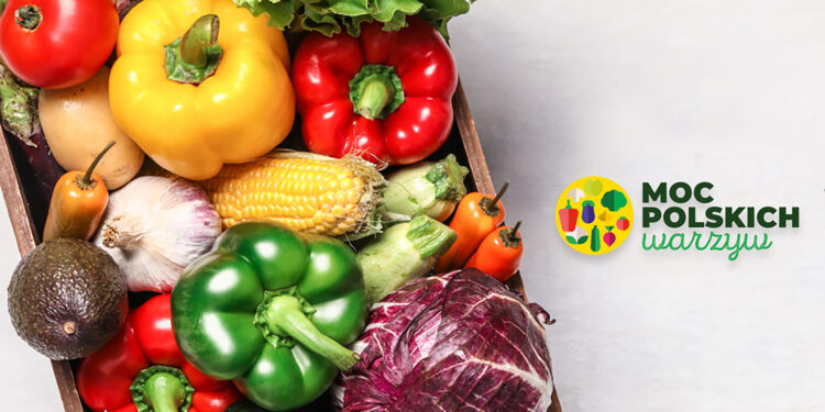 Sukces kampanii „Moc Polskich Warzyw” w 2022 roku - Radio Kielce
