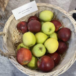 01.02.2023. Sandomierz. 31 Spotkania Sadownicze / Fot. Anna Głąb - Radio Kielce