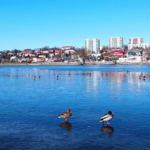 Starachowice. Zalew Pasternik / Fot. UM Starachowice