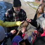 09.02.2023. Złota. Ptasi Azyl. Młoda samica myszołowa została po rekonwalescencji wypuszczona na wolność / Fot. Marta Gajda-Kruk – Radio Kielce