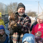 09.02.2023. Złota. Ptasi Azyl. Młoda samica myszołowa została po rekonwalescencji wypuszczona na wolność / Fot. Marta Gajda-Kruk – Radio Kielce