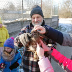 09.02.2023. Złota. Ptasi Azyl. Młoda samica myszołowa została po rekonwalescencji wypuszczona na wolność / Fot. Marta Gajda-Kruk – Radio Kielce