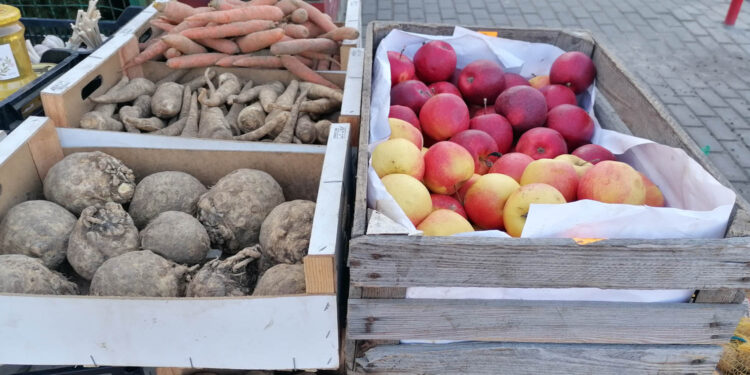 Ceny warzyw i owoców na targowisku miejskim w Skalbmierzu (16.02.2023) - Radio Kielce Bogactwo owoców i warzyw na giełdzie w Sandomierzu