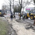 01.02.2023. Kielce. Przesadzanie drzew przy skrzyżowaniu ul. Karczówkowskiej i Jagiellońskiej / Fot. Jarosław Kubalski - Radio Kielce