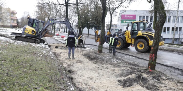 01.02.2023. Kielce. Przesadzanie drzew przy skrzyżowaniu ul. Karczówkowskiej i Jagiellońskiej / Fot. Jarosław Kubalski - Radio Kielce