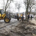 01.02.2023. Kielce. Przesadzanie drzew przy skrzyżowaniu ul. Karczówkowskiej i Jagiellońskiej / Fot. Jarosław Kubalski - Radio Kielce