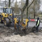 01.02.2023. Kielce. Przesadzanie drzew przy skrzyżowaniu ul. Karczówkowskiej i Jagiellońskiej / Fot. Jarosław Kubalski - Radio Kielce