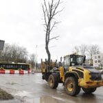 01.02.2023. Kielce. Przesadzanie drzew przy skrzyżowaniu ul. Karczówkowskiej i Jagiellońskiej / Fot. Jarosław Kubalski - Radio Kielce